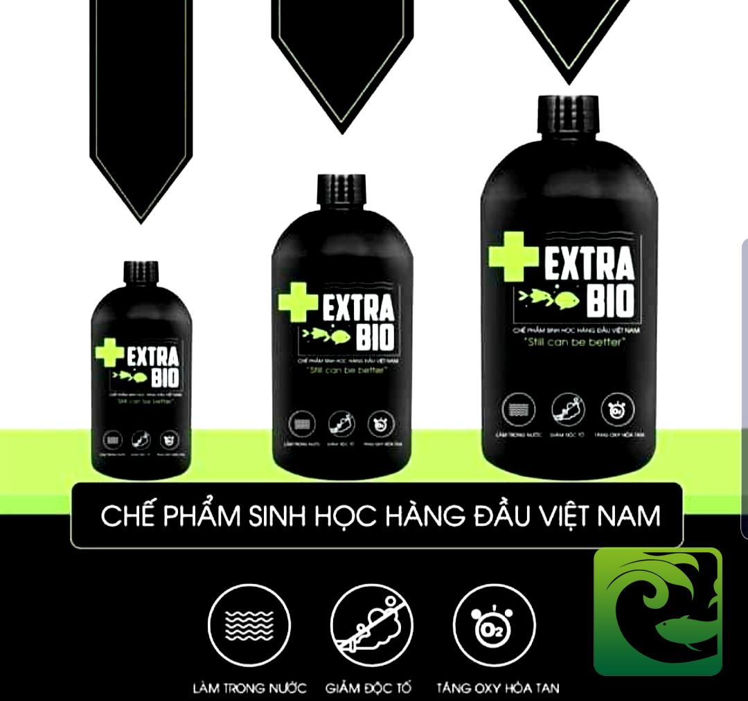 Men vi sinh cá cảnh Giải pháp tối ưu cho hồ cá cảnh