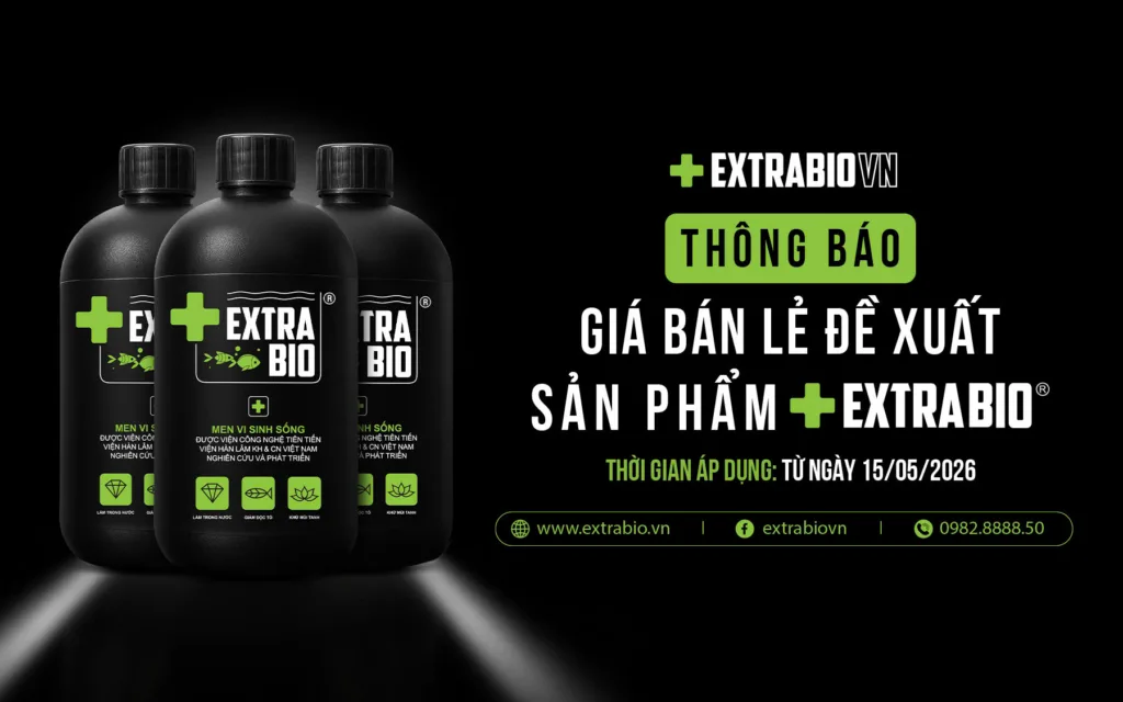 Three black bottles of ExtrabiO supplements with green cross logo on the left, against a dark background; Vietnamese ad copy on the right announcing product sale information.